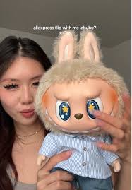 How Long Dose A Labubu Take to Get Home from Aliexpress