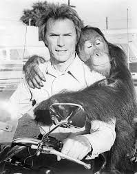 Clint Eastwood Thisisnotporn Net Rare And Beautiful Celebrity Photos Clint Eastwood Clint Orangutan