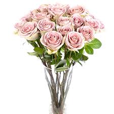 Shop fresh new baby flowers & gifts. Amnesia Roses Long Stemmed Flowers By Flourish