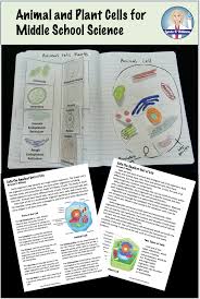 Fun Cell Parts And Function Activities For Middle School In 2020 Animal Cell Activity Plant And Animal Cells Cells Activity