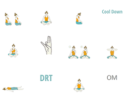 Hatha Yoga Sequences Foundational Sequences For Yoga Teachers Tummee Com Hatha Yoga Sequence Yoga Sequence For Beginners Yoga Sequences