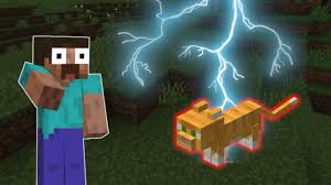 We did not find results for: Minecraft So Viel Pech Blitzeinschlag Rostet Die Katze