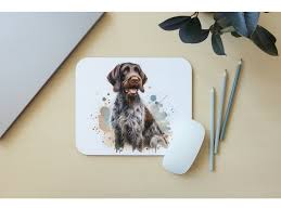 Image result for maďarský ohař drátosrstý