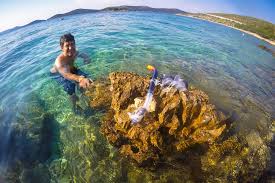 Para nosotros es la mejor playa de croacia. Ruta Por Croacia Iv Primosten Y Bilo Las Mejores Playas De Croacia