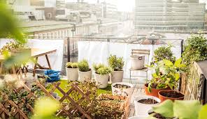 This is a short but very informative article on how to plant a container herb garden like this. How To Start Your Very Own Herb Garden At Home Ikea Qatar Blog