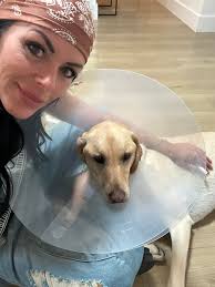 I came home unwell from work today. My bestie made sure that I was okay 👍 