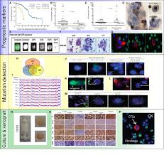 Image result for Ac 104: Introduction to Accounting II