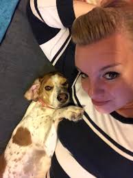 Today I had the absolute pleasure of a One to One Home Consultation with  these two beauties!! Willow (lab mix) is approximately 11 to 12 months old  and was rescued from a