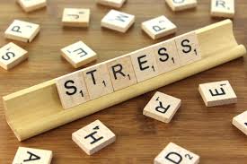 Image result for Stress