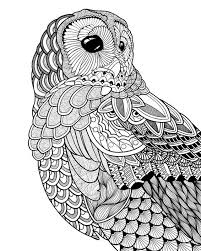Bw Night Owl Coloring Canvas Coloring Canvas Canvas Drawing Owl Coloring Pages