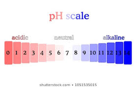 litmus paper isolated images stock photos vectors