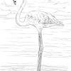 Take a look at our many other coloring pages. 1