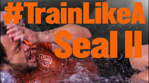 Cameron Cone's Profile and Production Credits