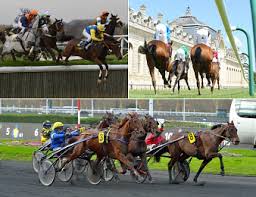 Au trot attelé, chaque driver (conducteur d'attelage) est assis sur un sulky tracté par un cheval. Le Classement Des Meilleurs Chevaux De La Semaine Trot Zone Turf Fr