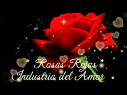 Rosas Rojas Industria Del Amor Christmas Ornaments Holiday Decor Holiday