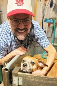 Misha's Pets & Dog Wash Lake Charles