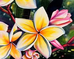 Plumeria Rainbow Yellow Pink Frangipani Tropical Hawaii Flower Painting Sandrine Curtiss Original Watercolor Art 8x10 Hawaiian Art Art Prints Artwork Painting