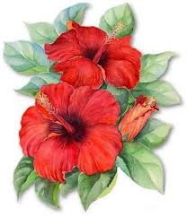 Imagenes Flores Rojas Para Imprimir Flower Painting Flower Art Watercolor Flowers
