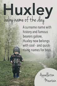 Zahle Den Hubschen Huxley Zu Den Schnell Wachsenden Babynamen Die Mit Dem Buc Baby Names Cute Baby Names Boy Names