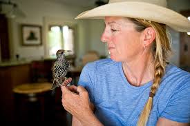 The Team — Montgomery Creek Ranch