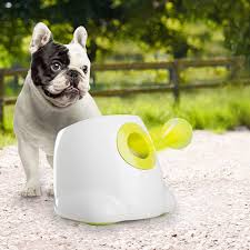 Mount a small motor, such as from a car door. Best Dog Ball Launchers And Throwers For A Perfect Game Of Fetch Petguide