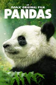 Pandas | Full Movie | Movies Anywhere