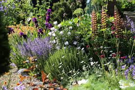 The Morgan Stanley Garden Designer Chris Beardshaw Rhs Chelsea Flower Show 2017 Photo Agatabyrne Chelsea Flower Show Planten Bloom