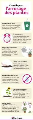 We did not find results for: Conseils D Arrosage Au Jardin Et Sur Le Balcon Blog Tectake