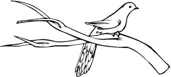 Pigeon Stands On Branch Tree Coloring Page Tree Coloring Page Coloring For Kids Coloring Pages