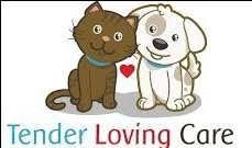 Search reviews, prices & local in home pet sitting professionals. Jerusalem Best Pet Boarding Grooming For Dogs Cats With Pickup Petbacker Jerusalem District