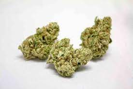 …the strain is recommended for its foggy effects and for pain relief. Face Off Og High Quality Meds