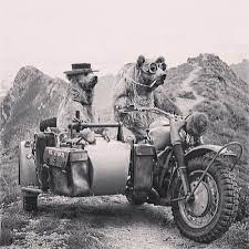 Poler Polerstuff Campvibes Ural Motorcycle Motorcycle Sidecar Sidecar