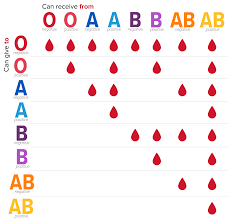 Ab Donate Blood The Blood Connection