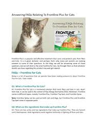 Information on flea allergy in cats, including symptoms, treatment and prevention. Answering Faqs Relating To Frontline Plus For Cats By Alan William Issuu