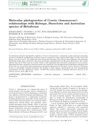 Image result for Dielsiothamnus divaricatus