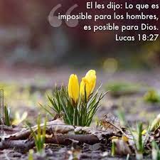 Solo Dios Hace Al Hombre Feliz