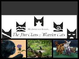 And it has many cats wallpapers such as: Best 53 Riverclan Background On Hipwallpaper Riverclan Background