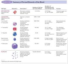 Pin On Nursing Molecular Biology