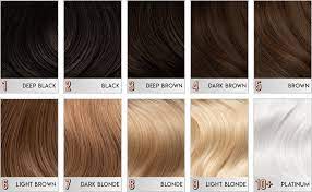 Leave out a few wisps of hair to keep the look soft and delicate. Amazon Com Arctic Fox Vegan And Cruelty Free Semi Permanent Hair Color Dye 4 Fl Oz Aquamarine Beauty