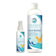 Hand Sanitizer Spray Refill 16 Oz Fourth Element
