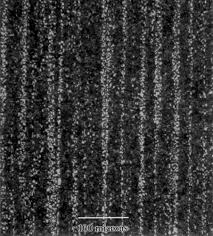 Image result for bulat steel micrograph