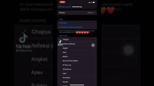 Notif wa chagiya ireona sendiri belakangan ini sangat viral dikalangan pengguna aplikasi tiktok. Download Lagu Notif Wa Chagiya Mp3 Video Gratis