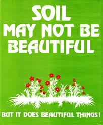 Society Of Soil Science Poster Soil Conservation Soil Trees To Plant