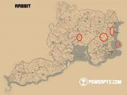 This video only covers one of several locations for the skunk. Red Dead Redemption 2 All Hunting Request Locations