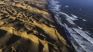 Usually this snake has no wings but uses the end of its tail to push itself through the air to the next point. Namibia S Desert Fills The Technological Void