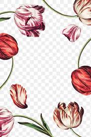 Vintage Tulip Flower Frame Design Element Free Image By Rawpixel Com Manotang In 2020 Flower Frame Vintage Floral Backgrounds Frame Design