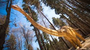 Daca sunteti in cautarea locatiei perfecte pentru activitati impreuna cu cei mici, cu siguranta. Dino Parc RaÈnov Va Fi Redeschis Din 22 Mai Gonext