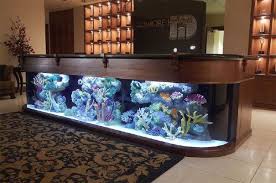10 Most Unusual Aquarium Designs Amazing Aquariums Aquarium Design Fish Tank