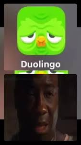 duolingo se puso raro