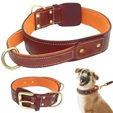 Pin By Emriye Bak On Cuero Correas Y Otros Dog Training Collar Leather Dog Collars Dog Leash